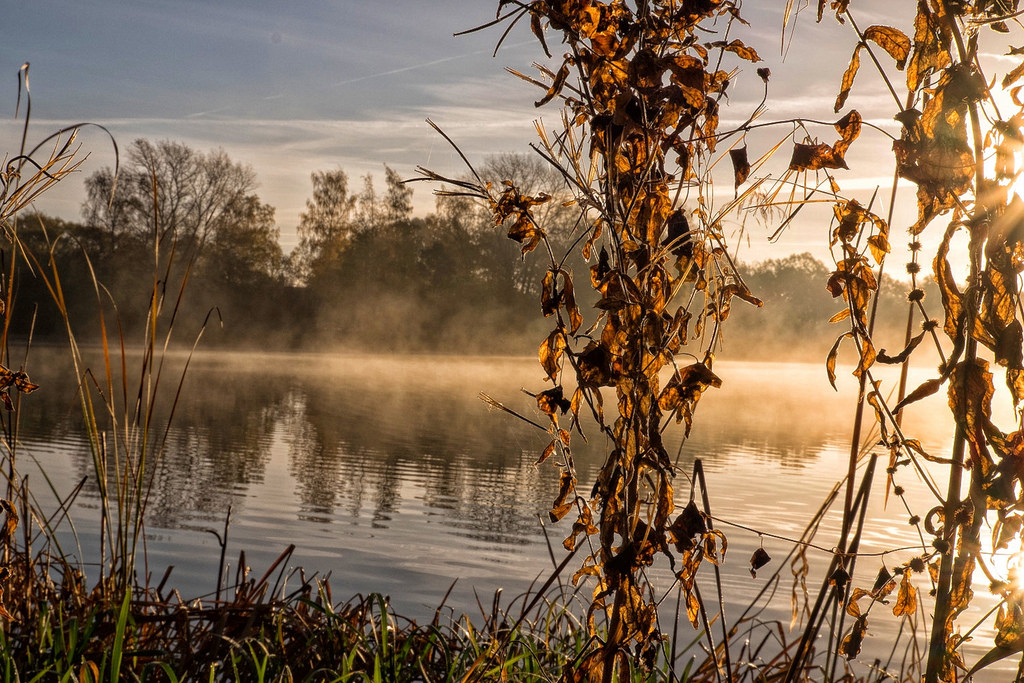 Misty Autumn Lake